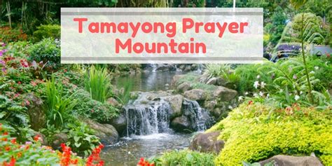 tamayong prayer mountain|Experience Tranquility at Tamayong Prayer Mountain .
